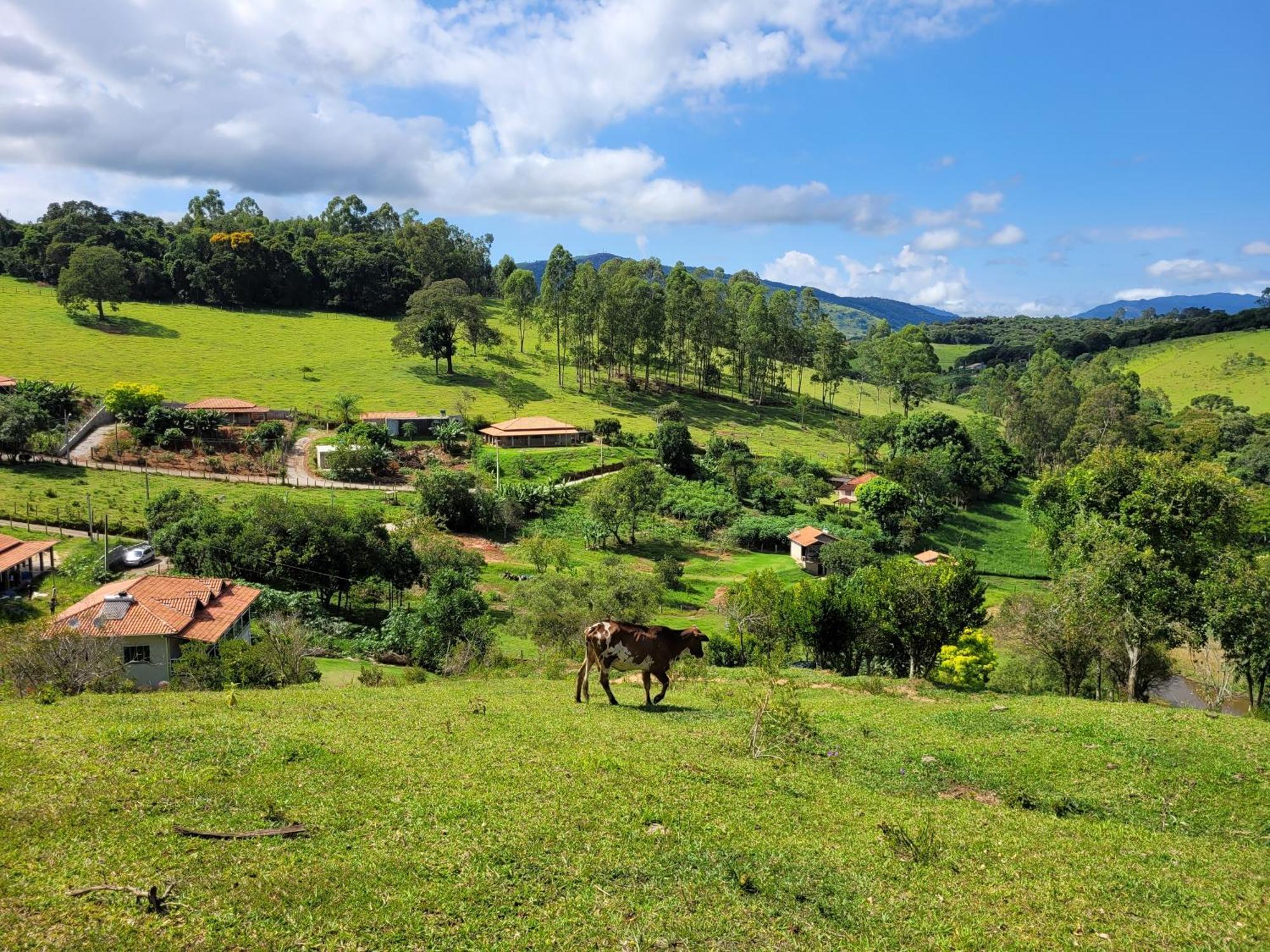 Pousada Moinho De Pedra 伊克斯雷玛 外观 照片